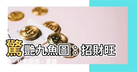 招財錦鯉|可招財旺運的風水魚——錦鯉